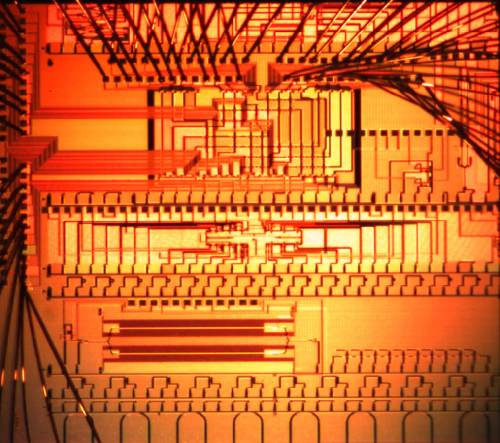 optical micrograph of a packaged photonic chip